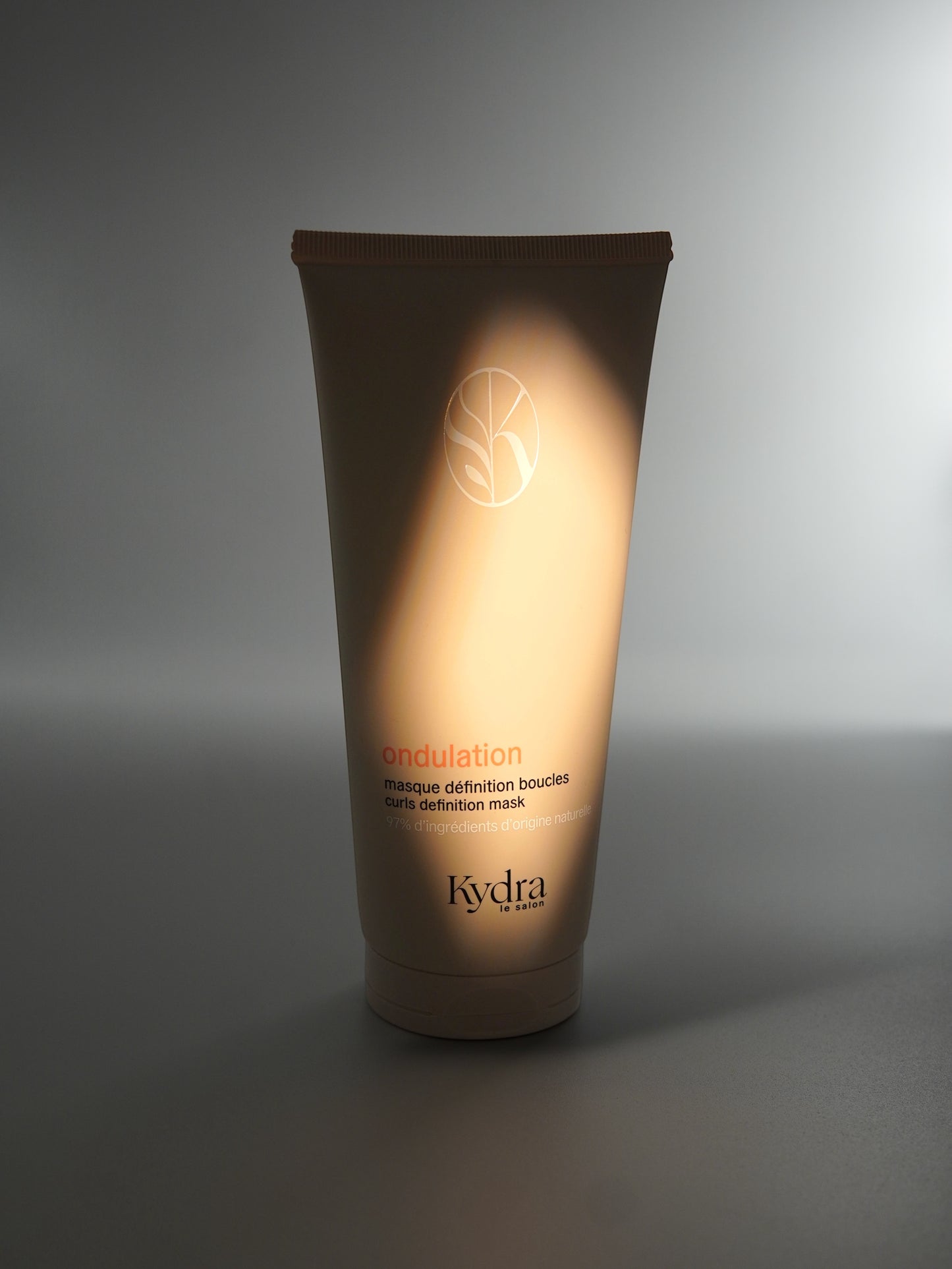 KYDRA LE SALON MASCHERA DEFINITIVA PER RICCI